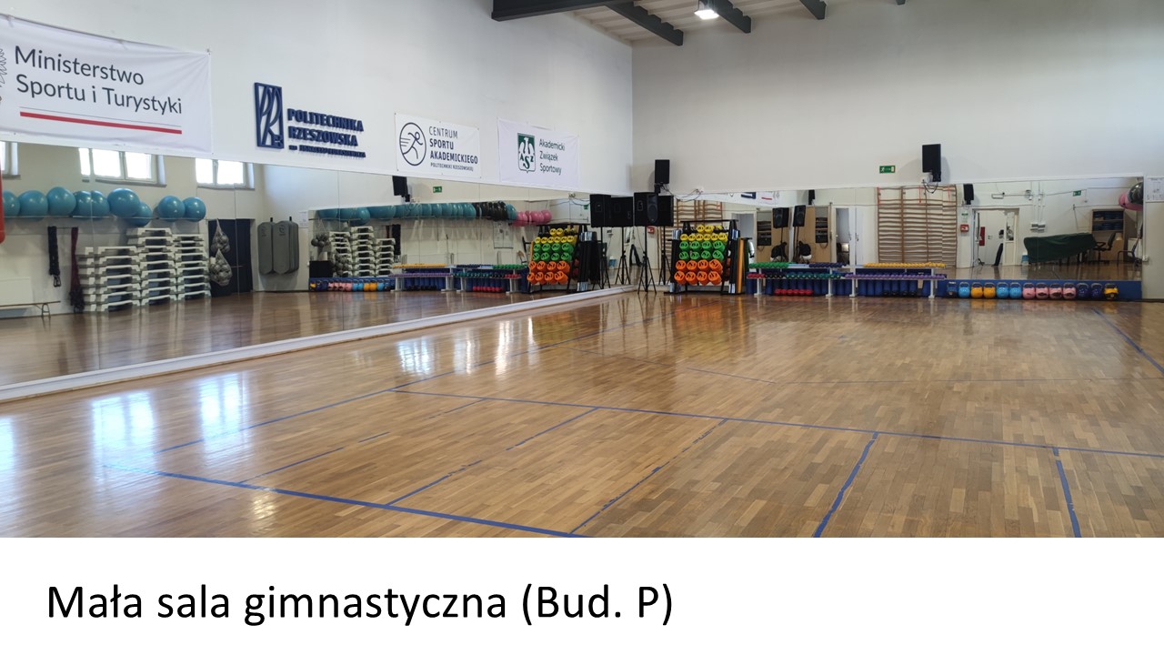 slajd3_mala_sala-1.jpg