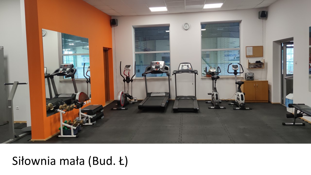 slajd6_sil_mala.jpg