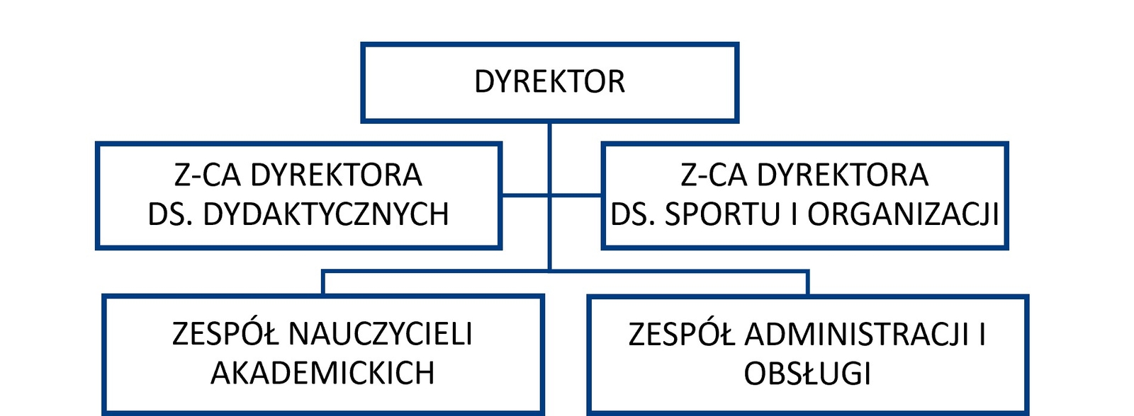 struktura_csa_2026_n.jpg